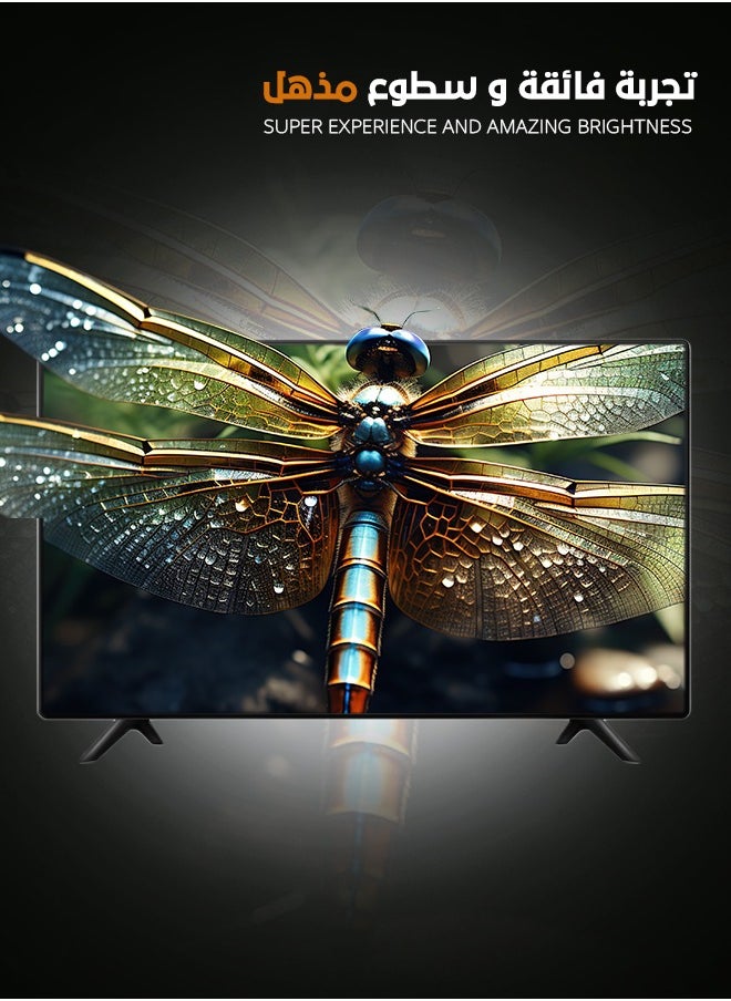 MTC Smart Screen - 50 Inches - WebOS - 4K UHD - with Free Stand - MTC4KD50SWOS  - Image 3