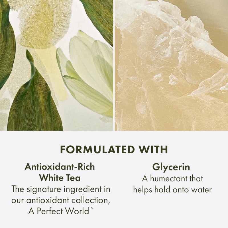 Origins A Perfect World Antioxidant Cleanser | For Dry and Combination Skin | With White Tea & Glycerin, 5 Fl Oz - Image 5