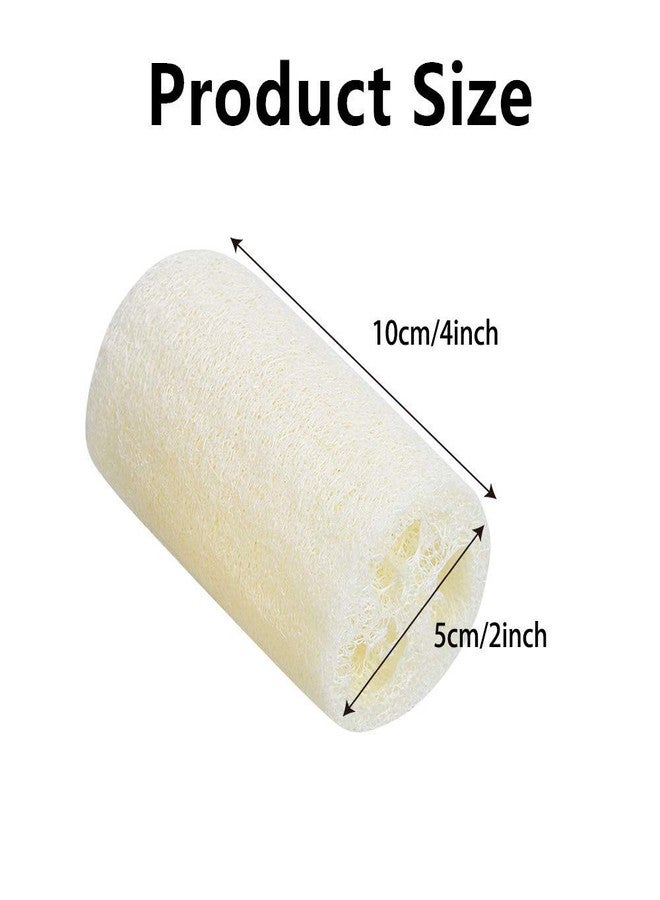 K3 ZONE Original Ridge Ground Fiber Natural Loofah with rope - Pack of 2 - Image 4