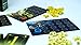 blue orange Wonder Woods Board Game by Blue Orange Games Family or Adult Mushroom Theme Strategy Board Game for 2 to 5 Players Recommended for Ages 8 Up - Image 4