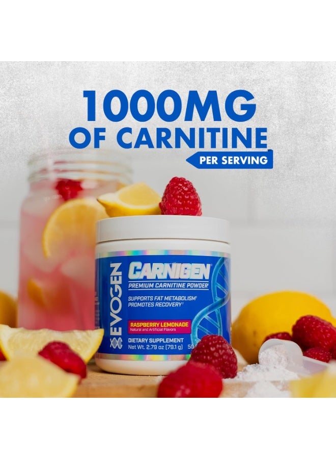 أيفوجن نيوتريشن كارنيجن، مسحوق كارنيتين لحرق الدهون - التوت وعصير الليمون - (50 حصة) - Image 4