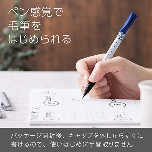 Pentel XGFD40CA1-A Brush Pen, Pentel Brush, Feather Pattern - Image 2