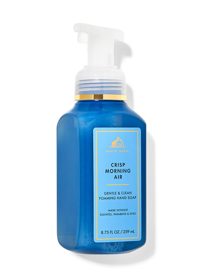Crisp Morning Air Foaming Hand Soap