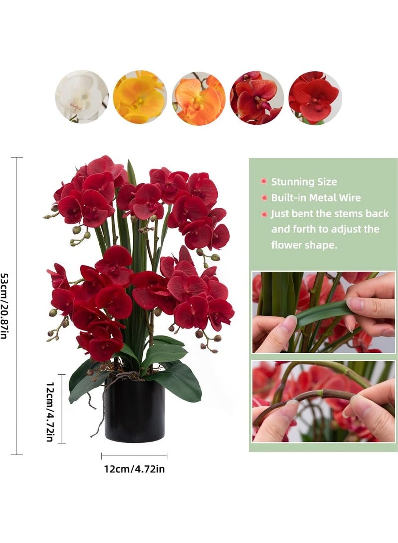 LATIFA Artificial Orchid Flower Plants Real Touch Faux Orchids in Ceramic Vase - Image 3
