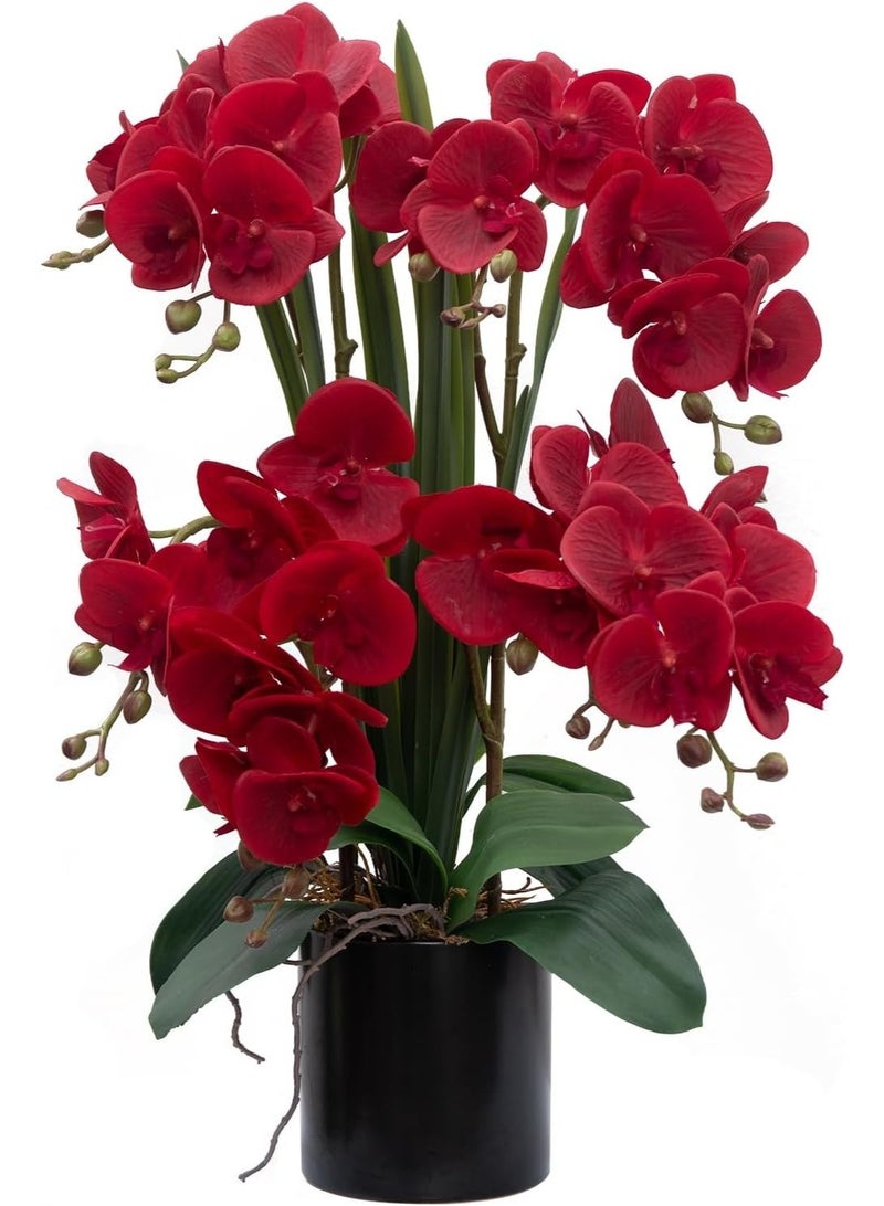 LATIFA Artificial Orchid Flower Plants Real Touch Faux Orchids in Ceramic Vase - Image 1