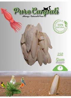 Cuttlefish Squid Bone Broken and Small Squid Bone 250 Grams