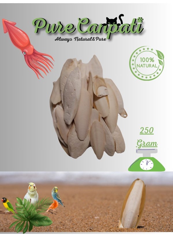 PureCanpati - Cuttlefish Squid Bone Broken and Small Squid Bone 250 Grams - Image 1
