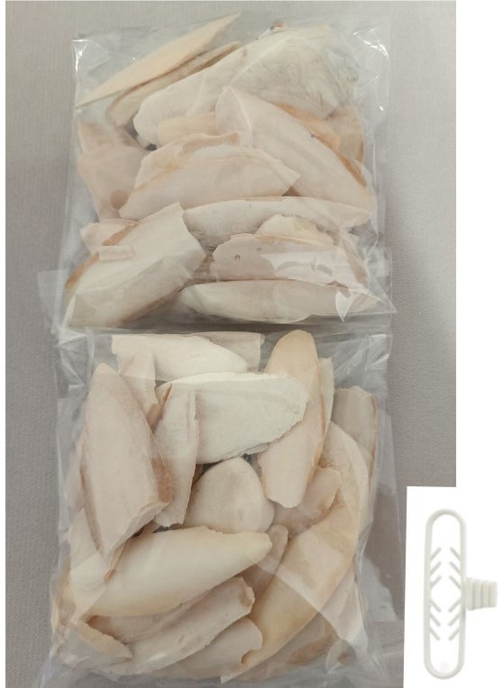 PureCanpati - Cuttlefish Squid Bone Broken and Small Squid Bone 250 Grams - Image 1