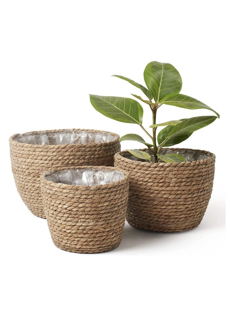 D&L Set Of 3 Flower Pots Seagrass Flower Pot Baskets Indoor And Outdoor Flower Pot Covers Plant Containers Beige  - Image 1