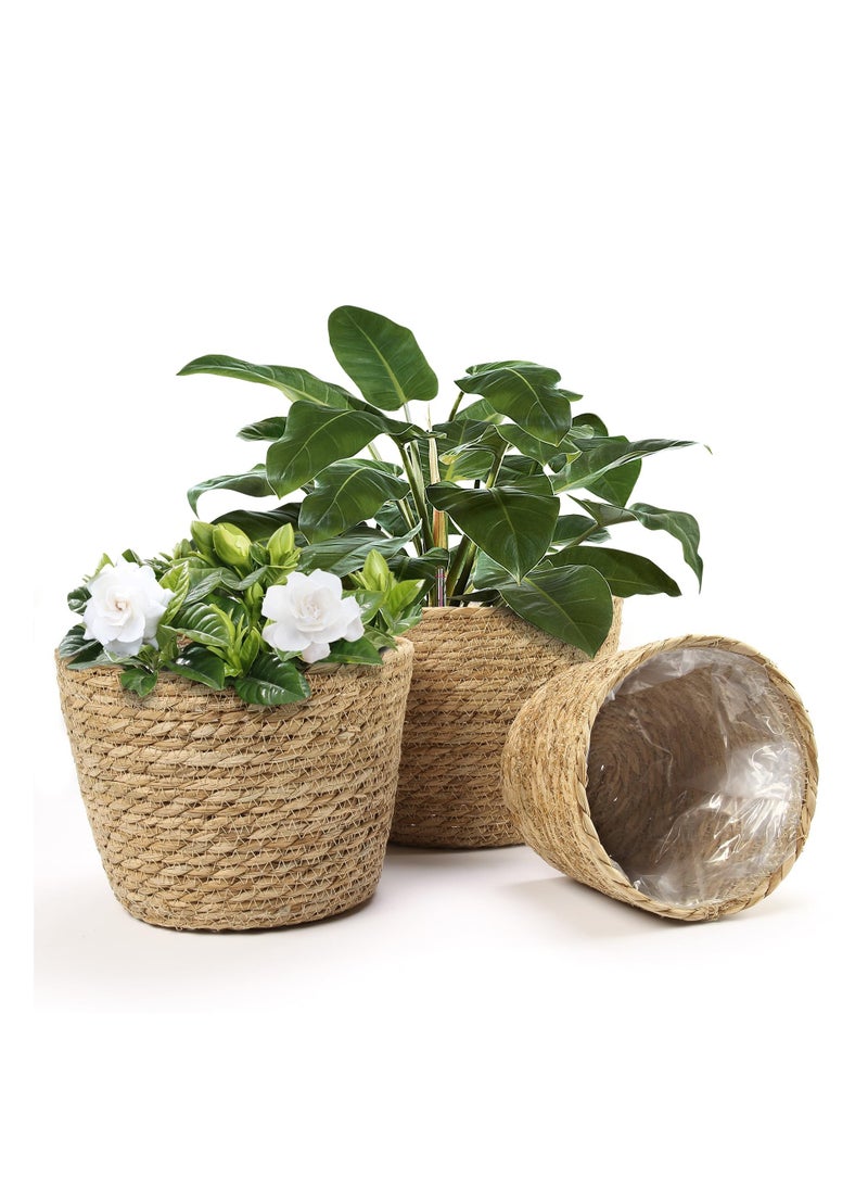 D&L Set Of 3 Flower Pots Seagrass Flower Pot Baskets Indoor And Outdoor Flower Pot Covers Plant Containers Beige  - Image 2