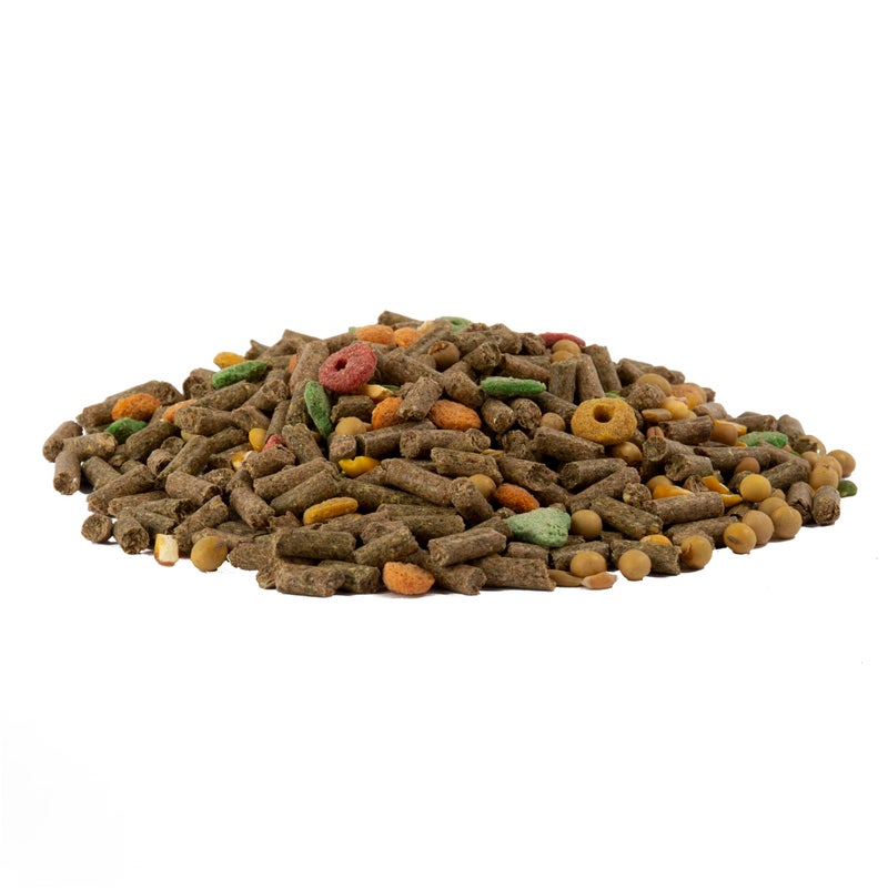 Wild Harvest Advanced Nutrition Guinea Pig, 4 Pounds, Complete And Balanced Diet - Image 2