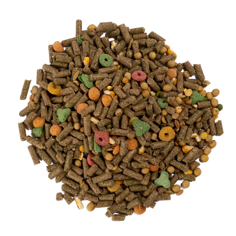 Wild Harvest Advanced Nutrition Guinea Pig, 4 Pounds, Complete And Balanced Diet - Image 3