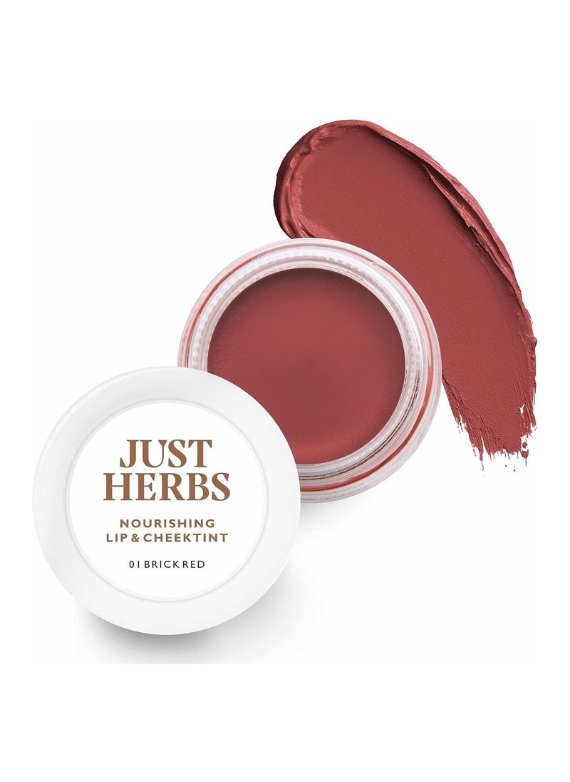 Just Herbs Just Herbs Ayurvedic Natural Lip and Cheek Tint Blush 01 Brick Red Creamy Matte  - Image 1