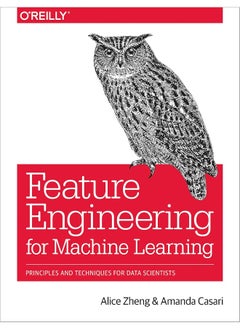 Feature Engineering for Machine Learning: Principles and Techniques for Data Scientists 