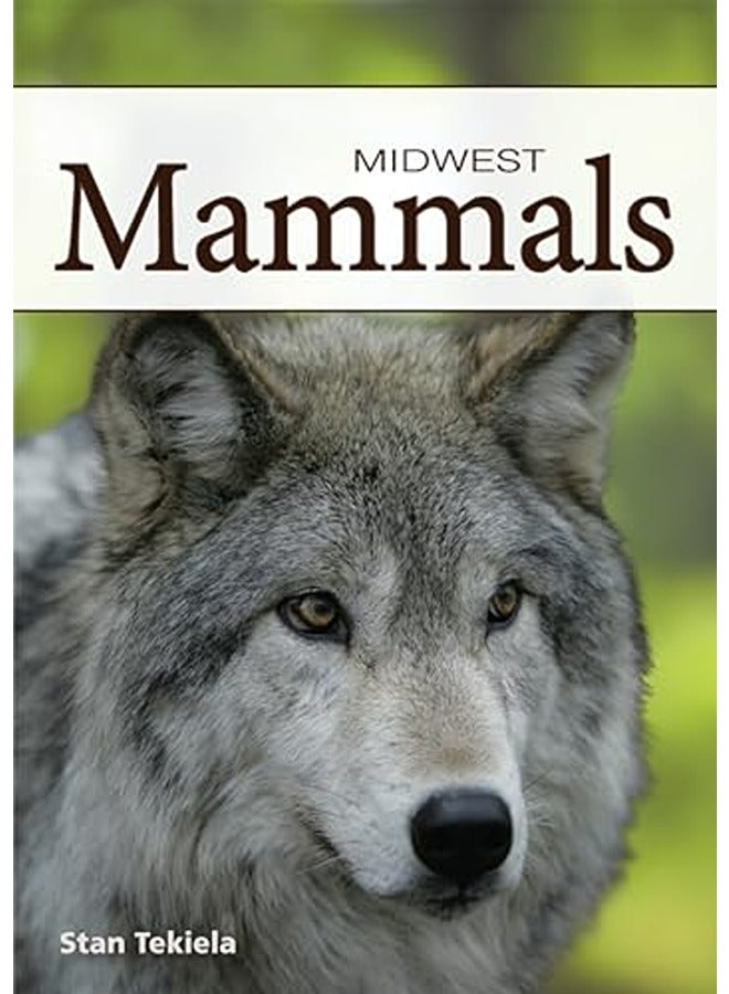 Mammals Of The Midwest Playing Cards