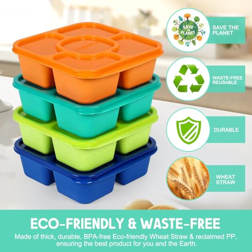 Caperci Original Lunchable Snack Containers for Kids & Adults - 5 Compartments Bento Snack Boxes with 4 Leakproof Small Containers, Wheat Straw, BPA-Free, Set of 4 (Jewel Brights) - Image 3