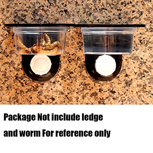 YOGURTCK 100pcs Crested Gecko Feeding Cups Reptile Feeder Bowls for Putting in Water and Food, Fit Lizard and Other Small Animals Pet Supplies 0.5oz - Image 2