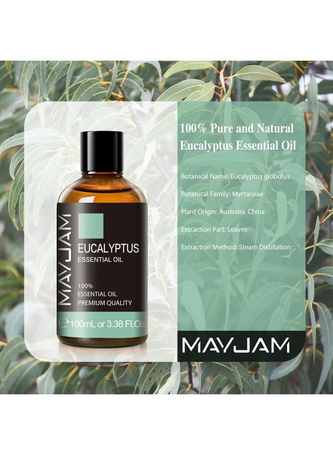 MAYJAM زيت الأوكالبتوس العطري، MAYJAM 3.38 أونصة سائلة زجاجة كبيرة من الزيوت العطرية النقية، مثالي للاستخدام في غرفة المعيشة، غرفة النوم، المكتب، السيارة - Image 3