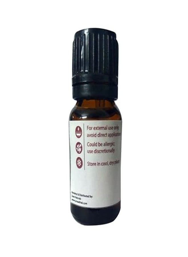 Prasadhak Cedarwood Essential Oil, 100% Pure and Natural - Image 3