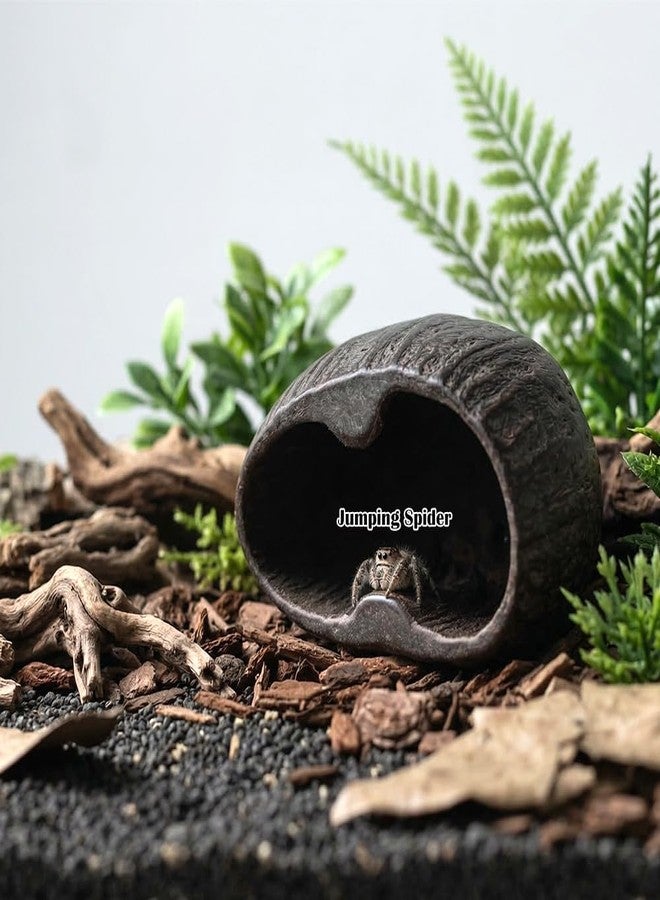 DQITJ 2 Pcs Hermit Crab Hide Tarantula Hideout Terrarium Natural Nutshell Decoration for Hermit Crab Spider Tarantula Snail Small Reptile - Image 3