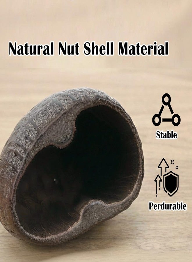 DQITJ 2 Pcs Hermit Crab Hide Tarantula Hideout Terrarium Natural Nutshell Decoration for Hermit Crab Spider Tarantula Snail Small Reptile - Image 5