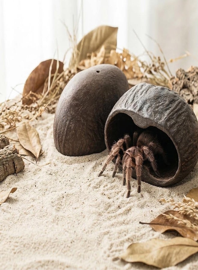 DQITJ 2 Pcs Hermit Crab Hide Tarantula Hideout Terrarium Natural Nutshell Decoration for Hermit Crab Spider Tarantula Snail Small Reptile - Image 4