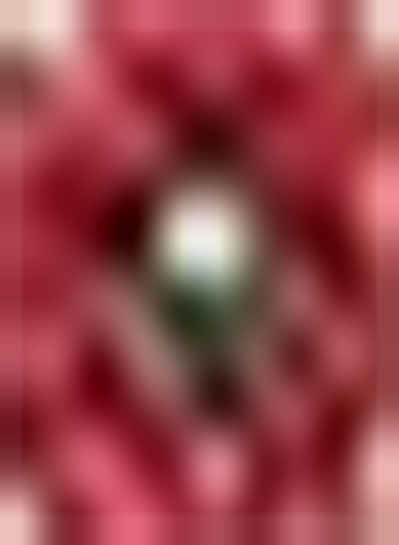 GGOOT 100pcs Red Dahlia Seeds Family Balcony Decoration Widely Used Everyone Loves Ornamental Vase Flower Arrangement Good Ecological Effect - Image 2