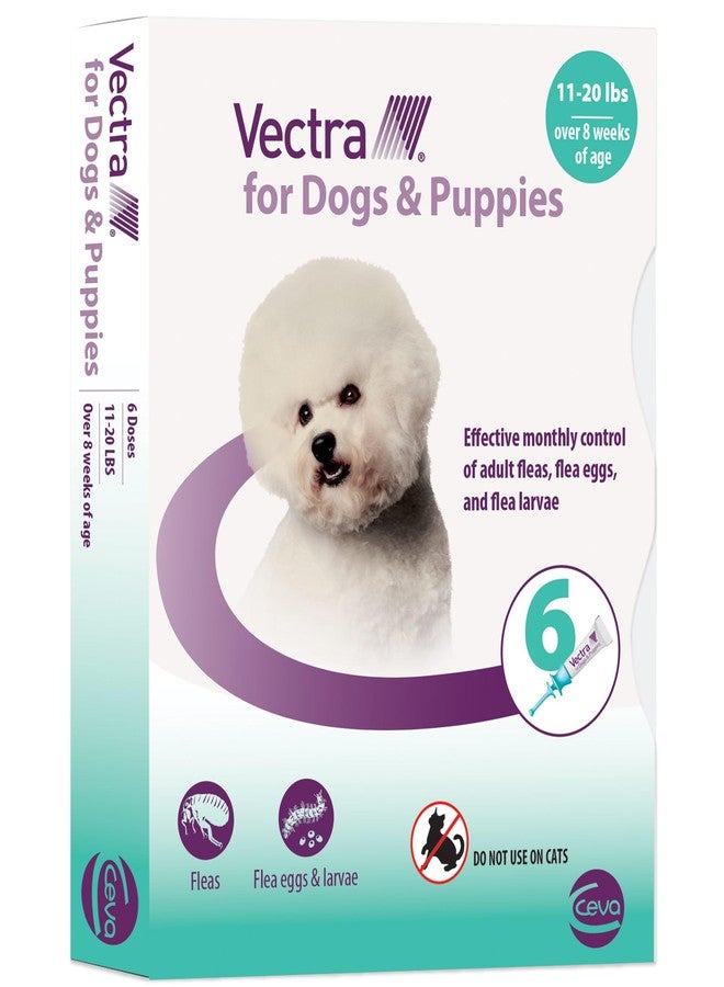 Vectra® for Dogs & Puppies Flea Treatment & Prevention for Small Dogs (11 – 20 lbs.) 6-Month Supply - Image 1