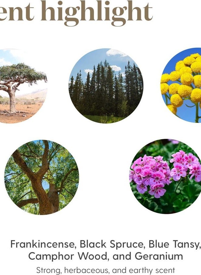 Young Living زيت فالور العطري - مزيج تمكيني مع مزيج متناغم من التنوب الأسود، تانسي الأزرق، خشب الكافور، الجيرانيوم، والبخور - زجاجة 5 مل للشجاعة والثقة - Image 5