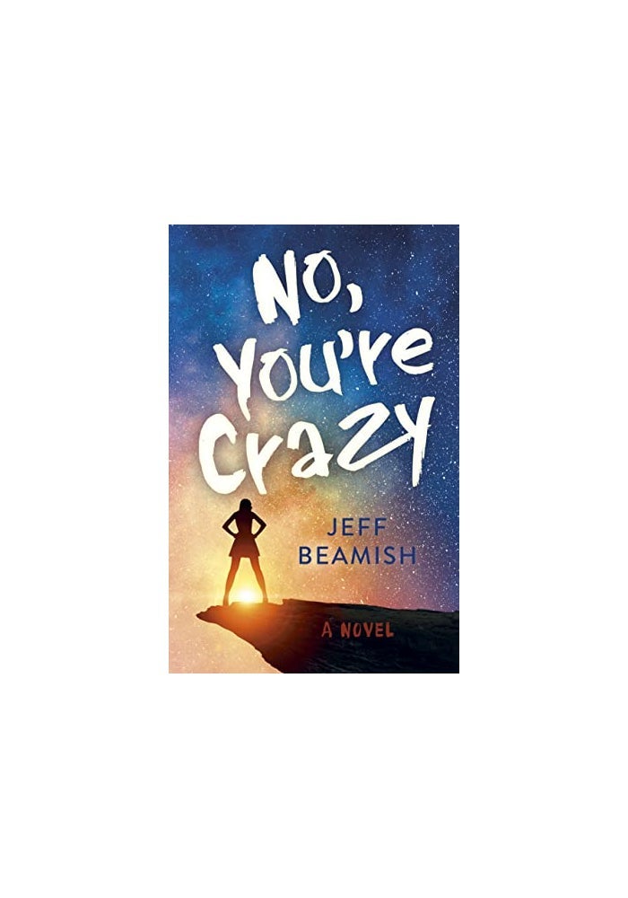 No Youre Crazy A Novel