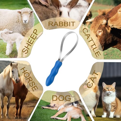 DiDiBirDi Dual-Sided Shedding Blade Dog Hair Brush - Stainless Steel Grooming Tool for Horses, Cattle, Sheep with Comfort Grip - Fine & Coarse Teeth for Long and Short Hair（2 Pcs） - Image 4