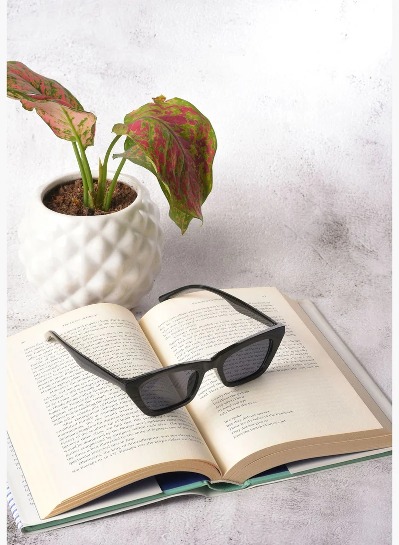 Haute Sauce Women Black Lens Black Butterfly Sunglasses