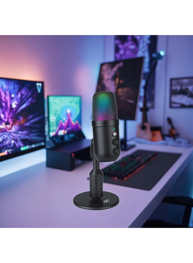 Havit GK51 Condenser Microphone Studio Recording Mic Microphone Podcast Microphones - Image 4