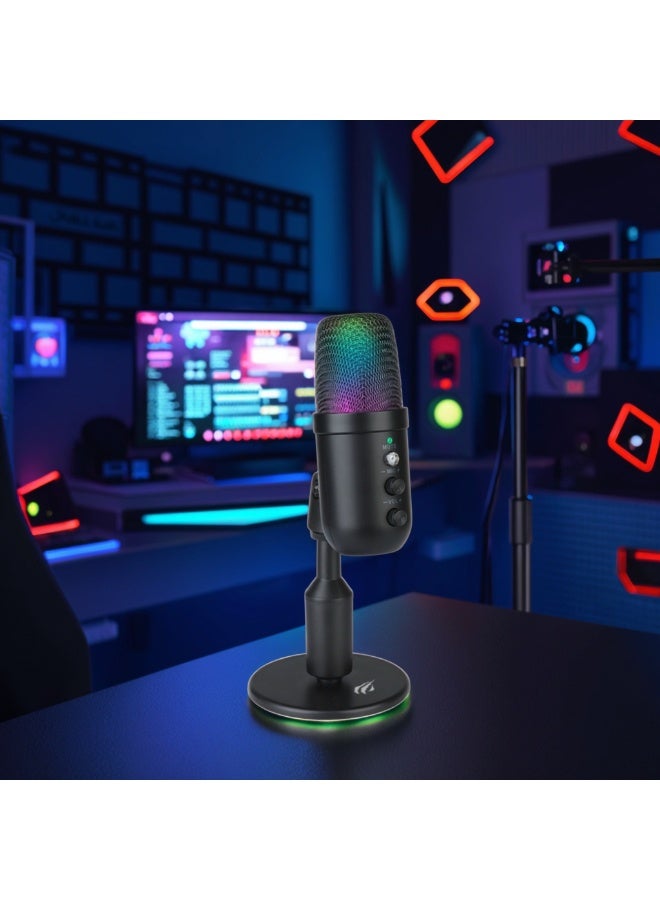 Havit GK51 Condenser Microphone Studio Recording Mic Microphone Podcast Microphones - Image 3