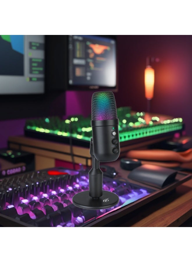 Havit GK51 Condenser Microphone Studio Recording Mic Microphone Podcast Microphones - Image 2