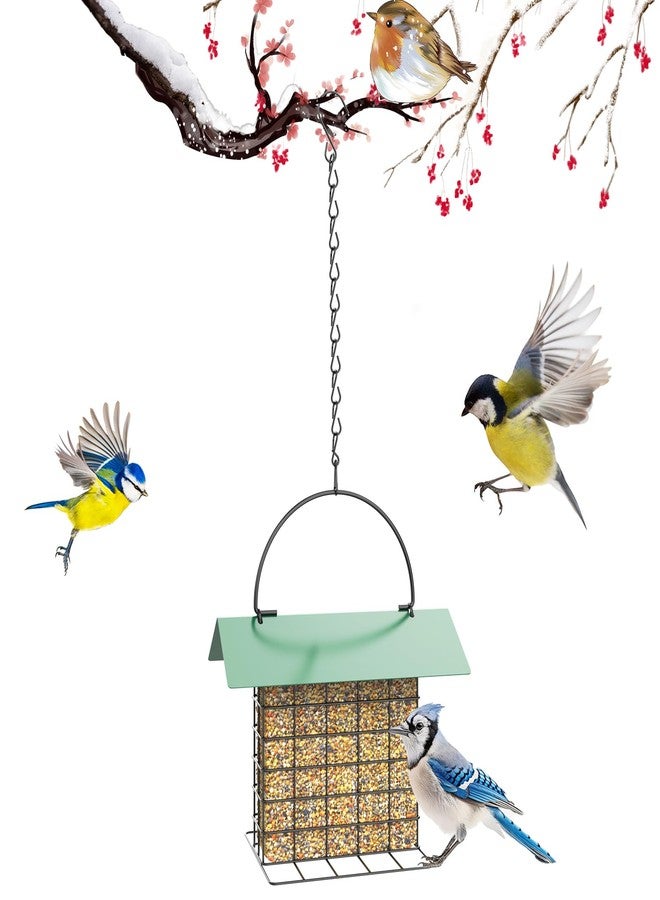 FLINTER Bird Feeder for Outdoors, Suet Feeder Hanging Bird Feeder, Adjustable Chain Hook Bird Feeder Hanging for Garden Yard Outside - Suet Cake Feeders to Attracting Birds - Image 1