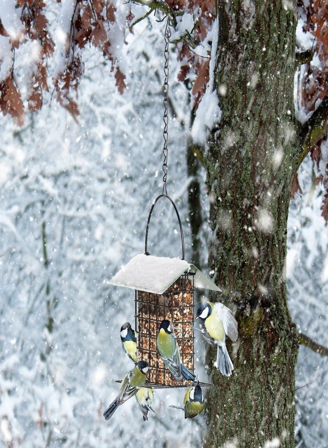 FLINTER Bird Feeder for Outdoors, Suet Feeder Hanging Bird Feeder, Adjustable Chain Hook Bird Feeder Hanging for Garden Yard Outside - Suet Cake Feeders to Attracting Birds - Image 3