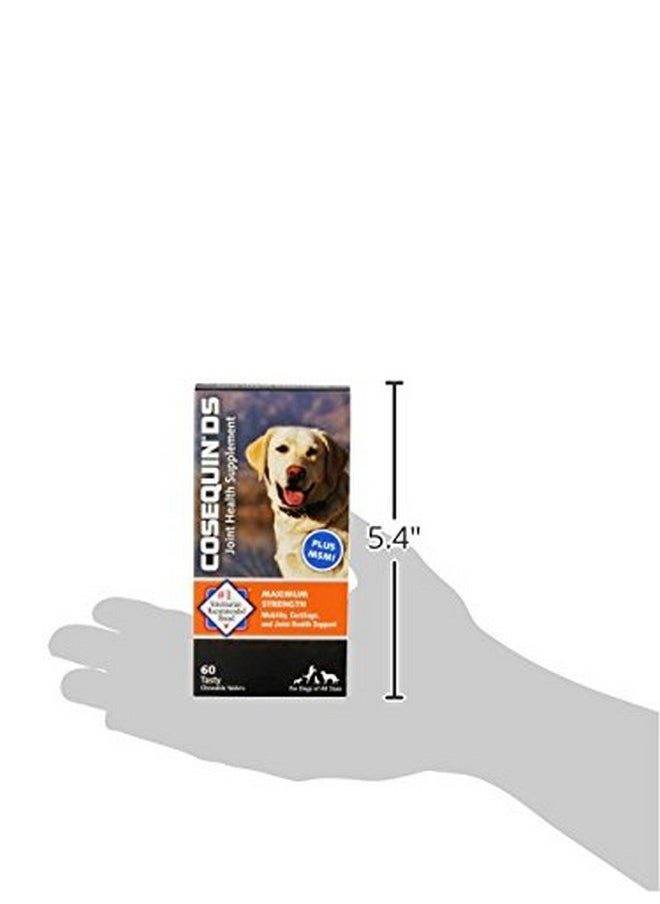 Nutramax Laboratories - Nutramax Laboratories Cosequin Maximum Strength Joint Health Supplement for Dogs - With Glucosamine, Chondroitin, and MSM, 60 Chewable Tablets - Image 1