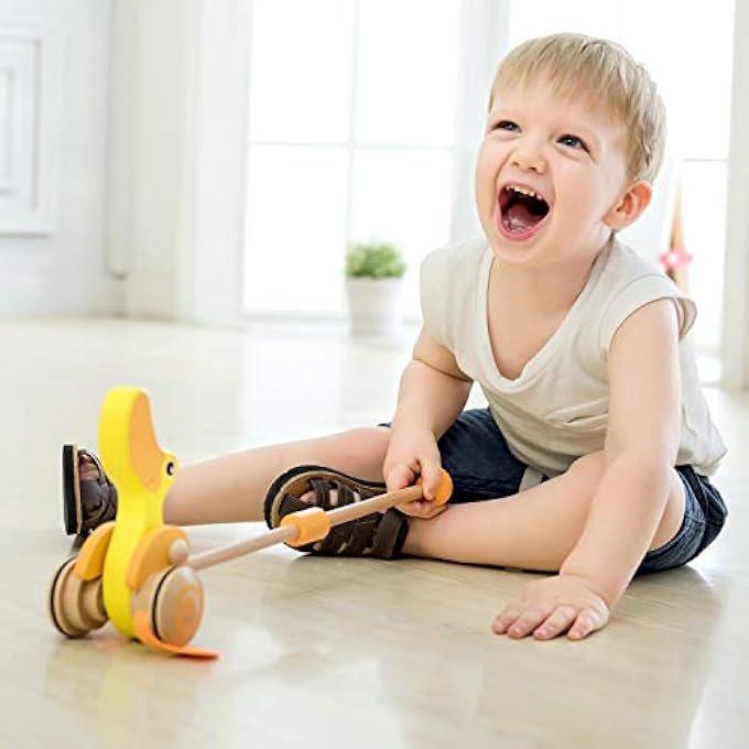 UNKNOWN PUSH DUCK - Image 2