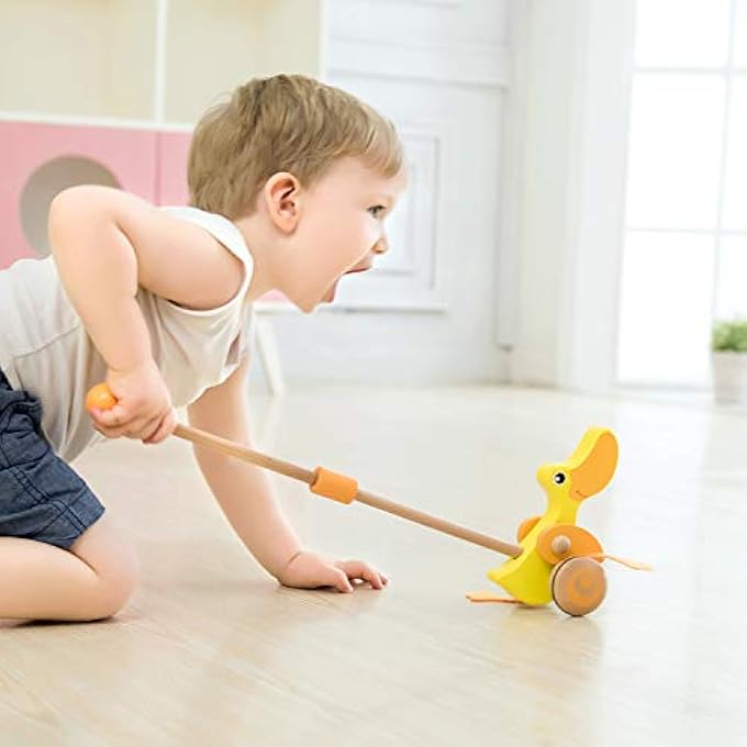 UNKNOWN PUSH DUCK - Image 3