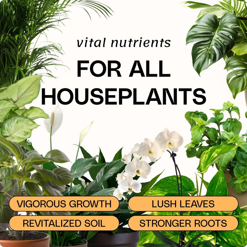 Flourish Plant Organic All-Purpose Plant Food 3-3-2 Fertilizer for Indoor Plants - CDFA Certified, Easy Application, 3-3-2 NPK, Eco-Friendly, EA 1.69 fl oz USA Made - Image 5