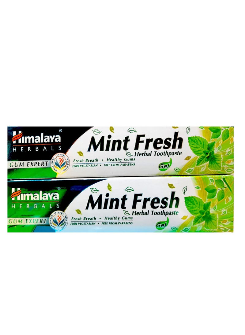 Himalaya Herbal Healthcare - Himalaya Herbals Mint Fresh Toothpaste 125 Grams Pack of 2 - Image 1