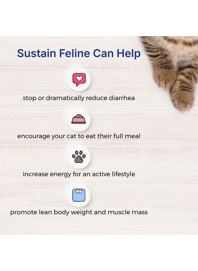 EMERAID Sustain Feline Recovery Food for Cats 100 g - Image 4
