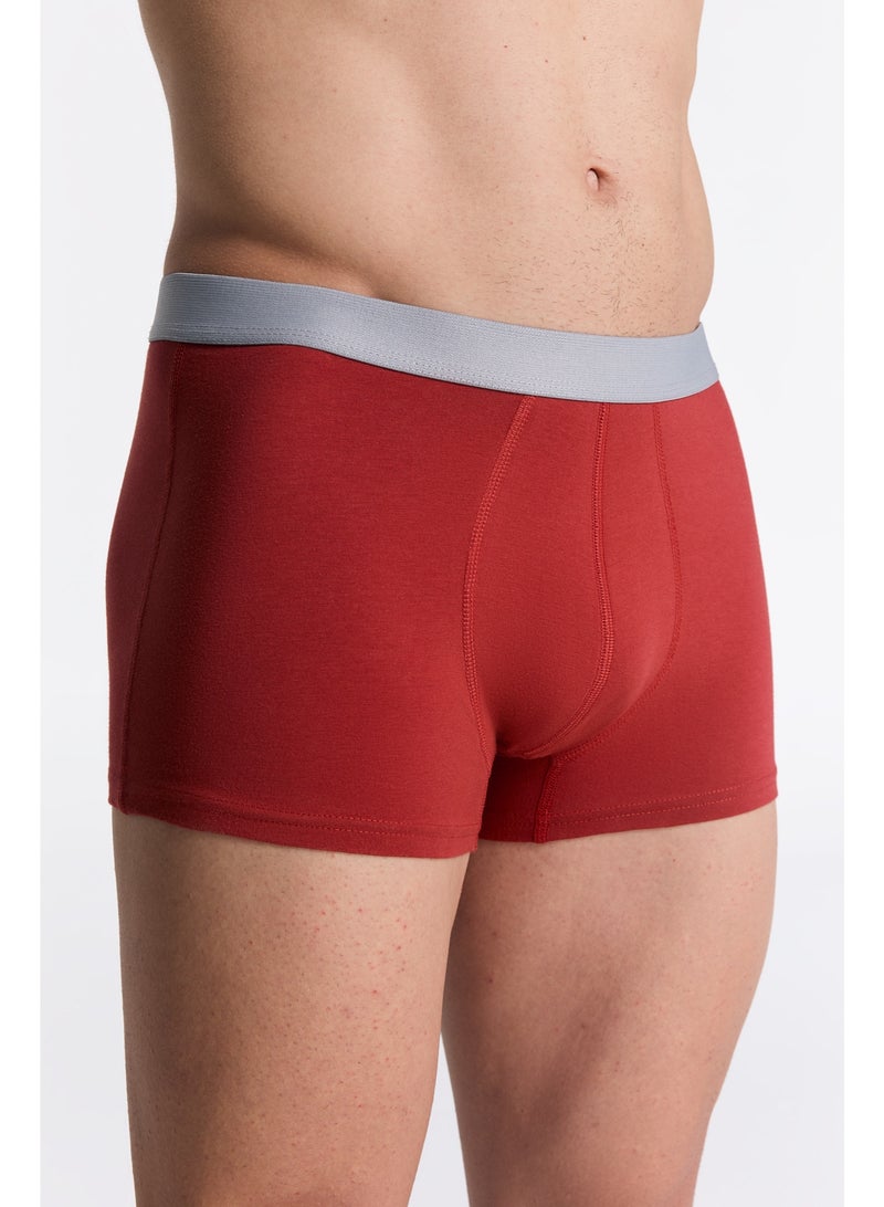 ALBERO NATUR 3P2121-119 Men's Organic Cotton Trunk Shorts - Image 3