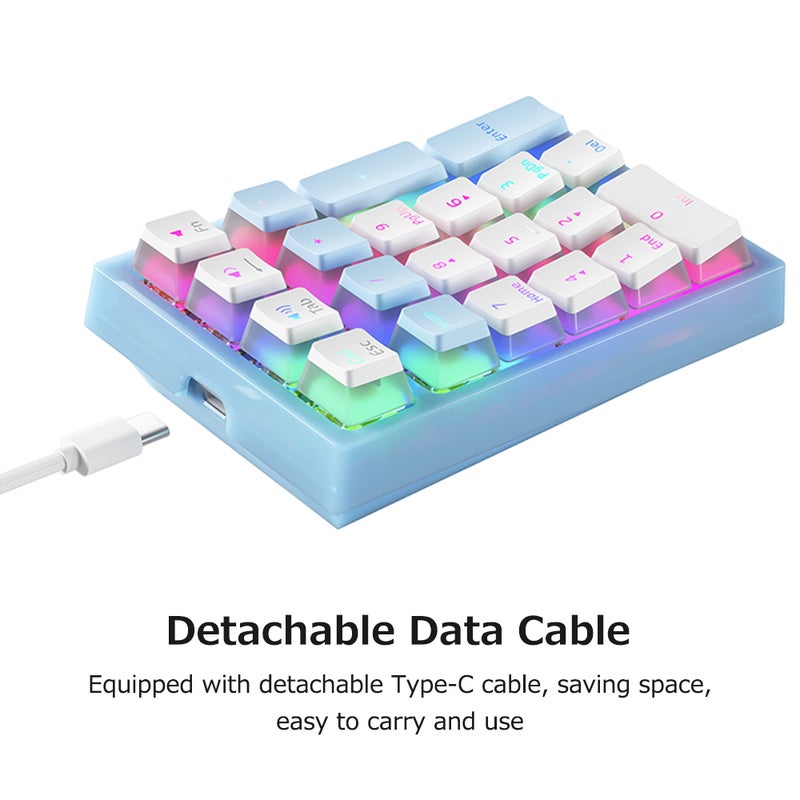 Numeric Keyboard: 21 Keys Compact Layout With Linear Mechanical Yellow Switches - RGB Backlight Effect Double-Layer Translucent Pudding Keycaps for Cashier Desk, Bank, Stock Exchange, School - Image 5