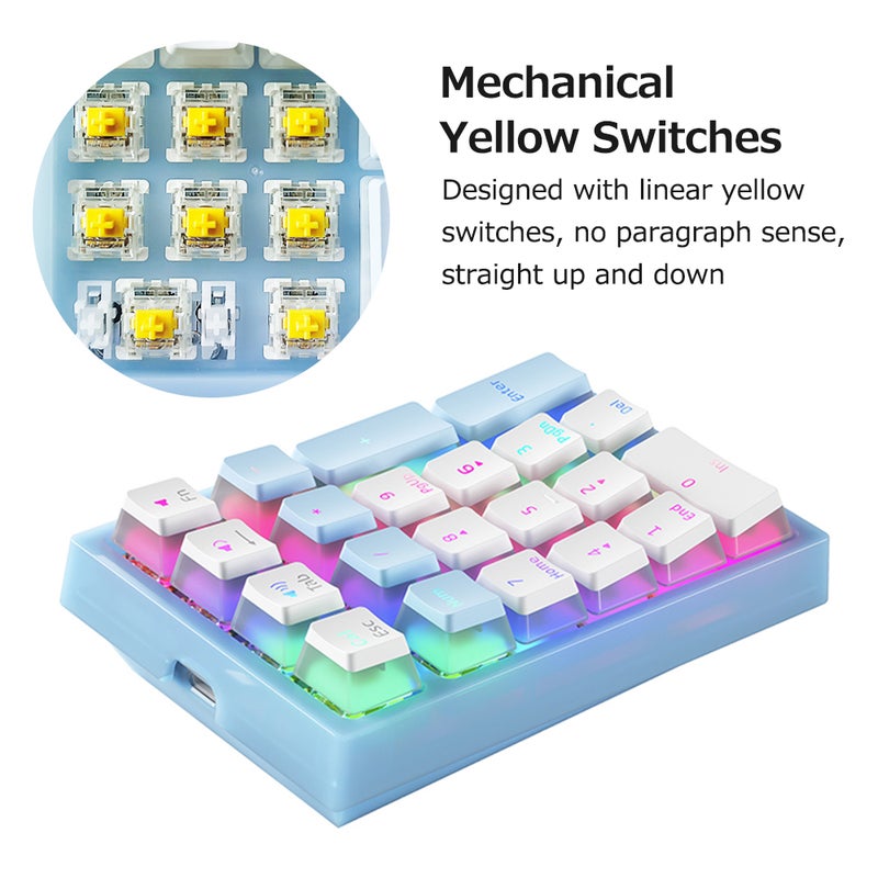 Numeric Keyboard: 21 Keys Compact Layout With Linear Mechanical Yellow Switches - RGB Backlight Effect Double-Layer Translucent Pudding Keycaps for Cashier Desk, Bank, Stock Exchange, School - Image 2
