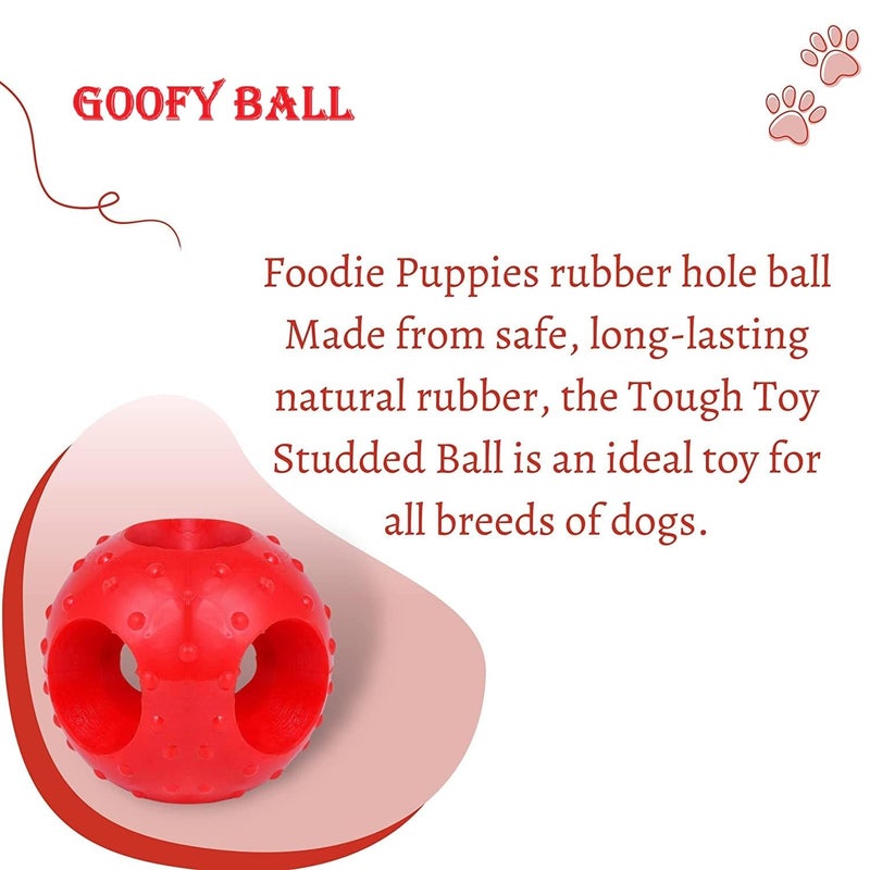 swacch Pet Shampoo | Puppy Safe Shampoo | PH Balanced | Ditch to Itch for Dog Shampoo 3 Litre (Jasmine) + Goofy Ball Chew Toy Combo Pack - Image 5