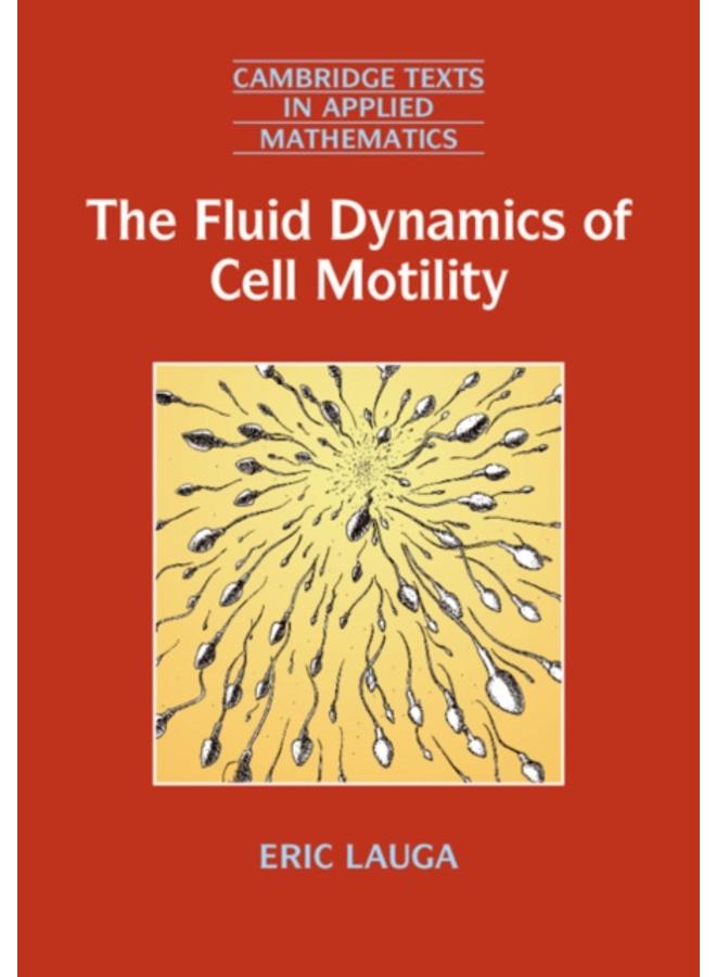 The Fluid Dynamics of Cell Motility 