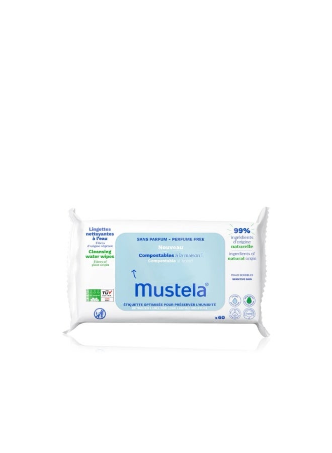 Cleansing Water Wipes — Perfume Free 60’s