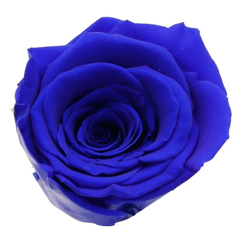 Bluejw High Quality First Grade Handmade Preserved Eternal Rose Bouquet – Budget-Friendly Dried Plants Decorative Flowers for Mother's Day, Long-Lasting Shaped Arrangement - Image 1
